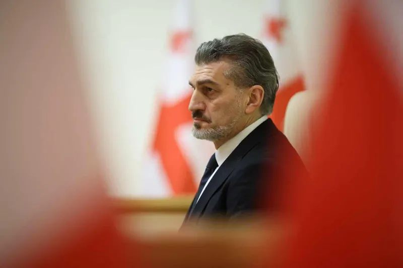ვთავაზობ ყველა მსჯავრდებულ პოლიტიკოსს, მომმართოს განცხადებით შეწყალების შესახებ და იმავე განცხადებით დაადასტუროს სურვილი არჩევნებში მონაწილეობის შესახებ, დაუყოვნებლივ გამოვცემ აქტს შეწყალების თაობაზე – მიხეილ ყაველაშვილი