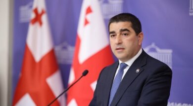 შალვა პაპუაშვილი