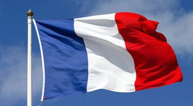 1744135903-safrangeti