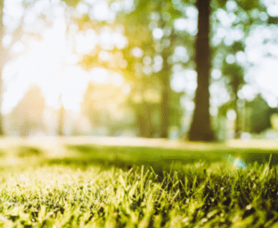 amindi-istockphoto