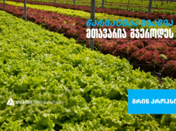 გრიიიიინ