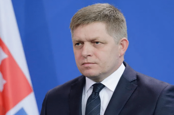 როგორც არ უნდა დასრულდეს სპილოების საუბარი 15 აგვისტოს, ბალახი – უკრაინა – დაზარალდება – რობერტ ფიცო
