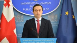 რუსთაველზე დაკავებული 11 პირი პოლიციის მხრიდან შესაძლო ძალის გადამეტებისა და არასათანადო მოპყრობის შესახებ საუბრობს – ომბუდსმენის აპარატი