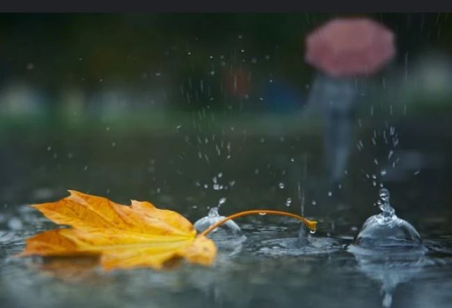 28 სექტემბრის ამინდის პროგნოზი
