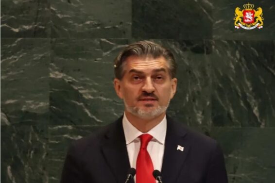 ჩემო აფხაზო და ოსო ძმებო და დებო, ჩვენთვის მრავალფეროვნება არა პრობლემა, არამედ კვლავ არსებობის აუცილებელი ფორმულაა, ამიტომ ყოველთვის ღია გულითა და გაშლილი ხელით შეგხვდებით -მიხეილ ყაველაშვილი