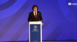 ჩვენი ქვეყნის გეოგრაფიული მდებარეობა, თანამედროვე ინფრასტრუქტურა, სტაბილური მაკროეკონომიკური გარემო და ეკონომიკური განვითარების ძლიერი ტენდენცია  ქმნის უნიკალურ შესაძლებლობას, რომ საქართველო ჩამოყალიბდეს ევროპისა და აზიის დამაკავშირებელ მნიშვნელოვან ჰაბად-ირაკლი კობახიძე