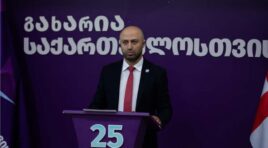 მოგმართავთ ოპოზიციურად განწყობილ მოქალაქეებს: არჩევნებზე არ მისვლა იქნება დაკარგული შანსი, რასაც უკან ვეღარ დავაბრუნებთ -ბერდია სიჭინავა