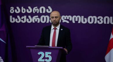 ბერდია სიჭინავა