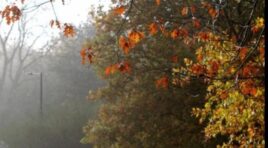 ისრაელმა ქალაქ ღაზაზე საჰაერო იერიში მიიტანა