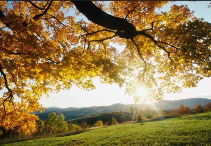 1- ელი ნოემბერის ამინდის პროგნოზი