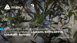 თიბისის მხარდაჭერით, დედოფლისწყაროში „სვანიძის ზეთისხილის“ საწარმო გაიხსნა