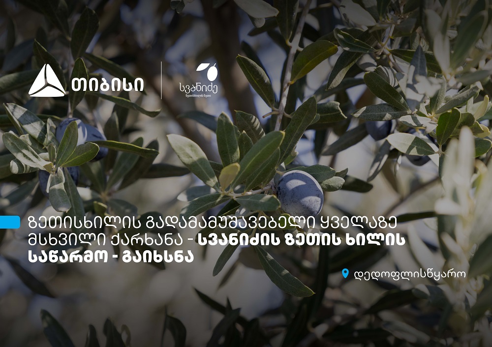 თიბისის მხარდაჭერით, დედოფლისწყაროში „სვანიძის ზეთისხილის“ საწარმო გაიხსნა