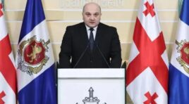 4 ოქტომბერს, თბილისში განვითარებულ დანაშაულებრივ მოვლენებთან დაკავშირებით კიდევ 12 პირი დააკავეს – შსს