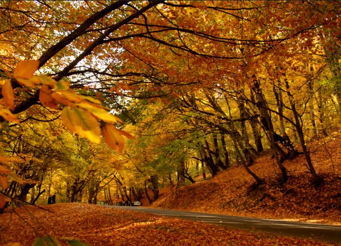 25 ნოემბრის ამინდის პროგნოზი