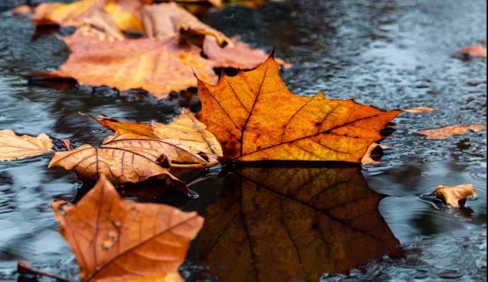 15 ნოემბერის ამინდის პროგნოზი