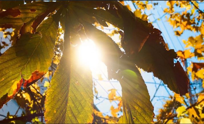 18 ნოემბერის ამინდის პროგნოზი