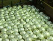 afp-via-getty-images-1