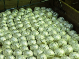 afp-via-getty-images-1