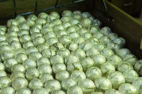 afp-via-getty-images-1