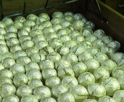 afp-via-getty-images-1