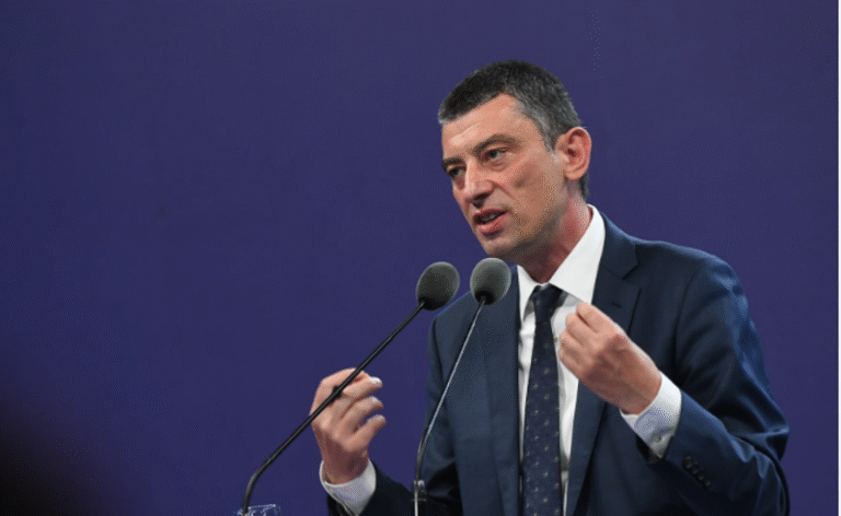 გიორგი გახარიას მიმართ სისხლის სამართლებრივი დევნა დაიწყო