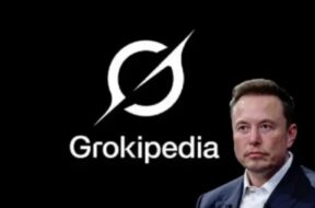 groki media