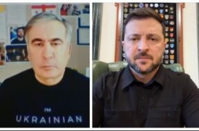 მიშა ზელეს