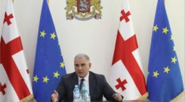 ინსულინის ხელმისაწვდომობაზე შეფერხება არ არსებობს -მიხეილ სარჯველაძე