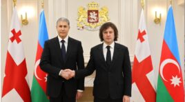 ირაკლი კობახიძე აზერბაიჯანის შინაგან საქმეთა მინისტრ ვილაიათ ეივაზოვს შეხვდა