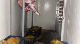 სურსათის ეროვნულმა სააგენტომ თბილისში, ზესტაფონსა და ვანში ცხოველთა არალეგალური სასაკლაოები გამოავლინა