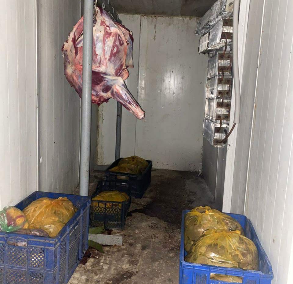 სურსათის ეროვნულმა სააგენტომ თბილისში, ზესტაფონსა და ვანში ცხოველთა არალეგალური სასაკლაოები გამოავლინა