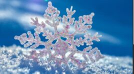 31 დეკემბრის ამინდის პროგნოზი