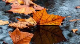 2 დეკემბრის ამინდის პროგნოზი