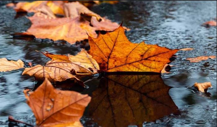 2 დეკემბრის ამინდის პროგნოზი