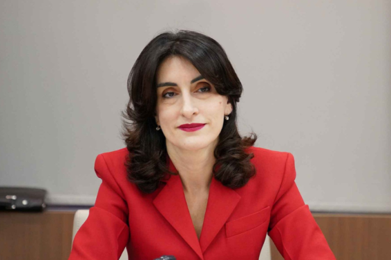 შემაშფოთებელია ვითომდა სანდო წყაროების, ამ შემთხვევაში „ბიბისის“ გამოყენება დეზინფორმაციის გასავრცელებლად, მნიშვნელოვანია, ყველა მსგავს ქმედებას სათანადო რეაგირება მოჰყვეს -მაკა ბოჭორიშვილი