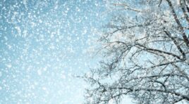 27-31 დეკემბერს საქართველოში დროგამოშვებით მოსალოდნელია ნალექი, უმეტესად თოვლის სახით