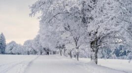 როგორი ამინდია მოსალოდნელი დღეს საქართველოში