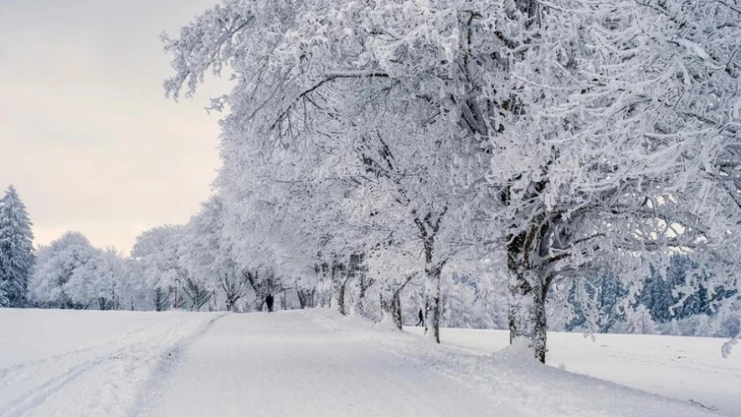 როგორი ამინდია მოსალოდნელი დღეს საქართველოში