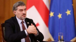 2030 წლისთვის საქართველო მზად იქნება წევრობისთვის, თუმცა, არ ვიცით, შეიცვლება თუ არა ევროკავშირის შეხედულება, ორმაგი სტანდარტებით ხელმძღვანელობენ-მიხეილ ყაველაშვილი