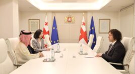 ირაკლი კობახიძის ხელმძღვანელობით მოქმედი სამთავრობო საკოორდინაციო კომისია, სასურსათო პროდუქციასა და მედიკამენტებთან ერთად, საწვავის ფასებთან დაკავშირებითაც იმუშავებს