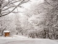 292202974_0_107_2048_1259_1920x0_80_0_0_71c20ad7438952d613b2cfd06dc5a8f2