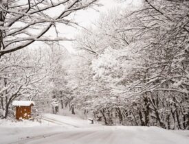 292202974_0_107_2048_1259_1920x0_80_0_0_71c20ad7438952d613b2cfd06dc5a8f2