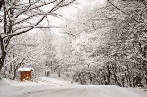 292202974_0_107_2048_1259_1920x0_80_0_0_71c20ad7438952d613b2cfd06dc5a8f2