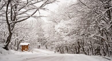 292202974_0_107_2048_1259_1920x0_80_0_0_71c20ad7438952d613b2cfd06dc5a8f2