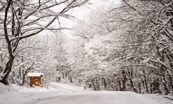 292202974_0_107_2048_1259_1920x0_80_0_0_71c20ad7438952d613b2cfd06dc5a8f2