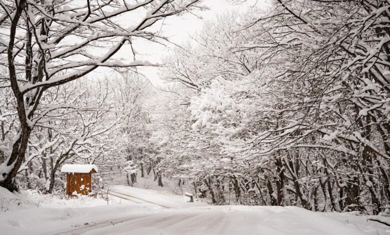 292202974_0_107_2048_1259_1920x0_80_0_0_71c20ad7438952d613b2cfd06dc5a8f2