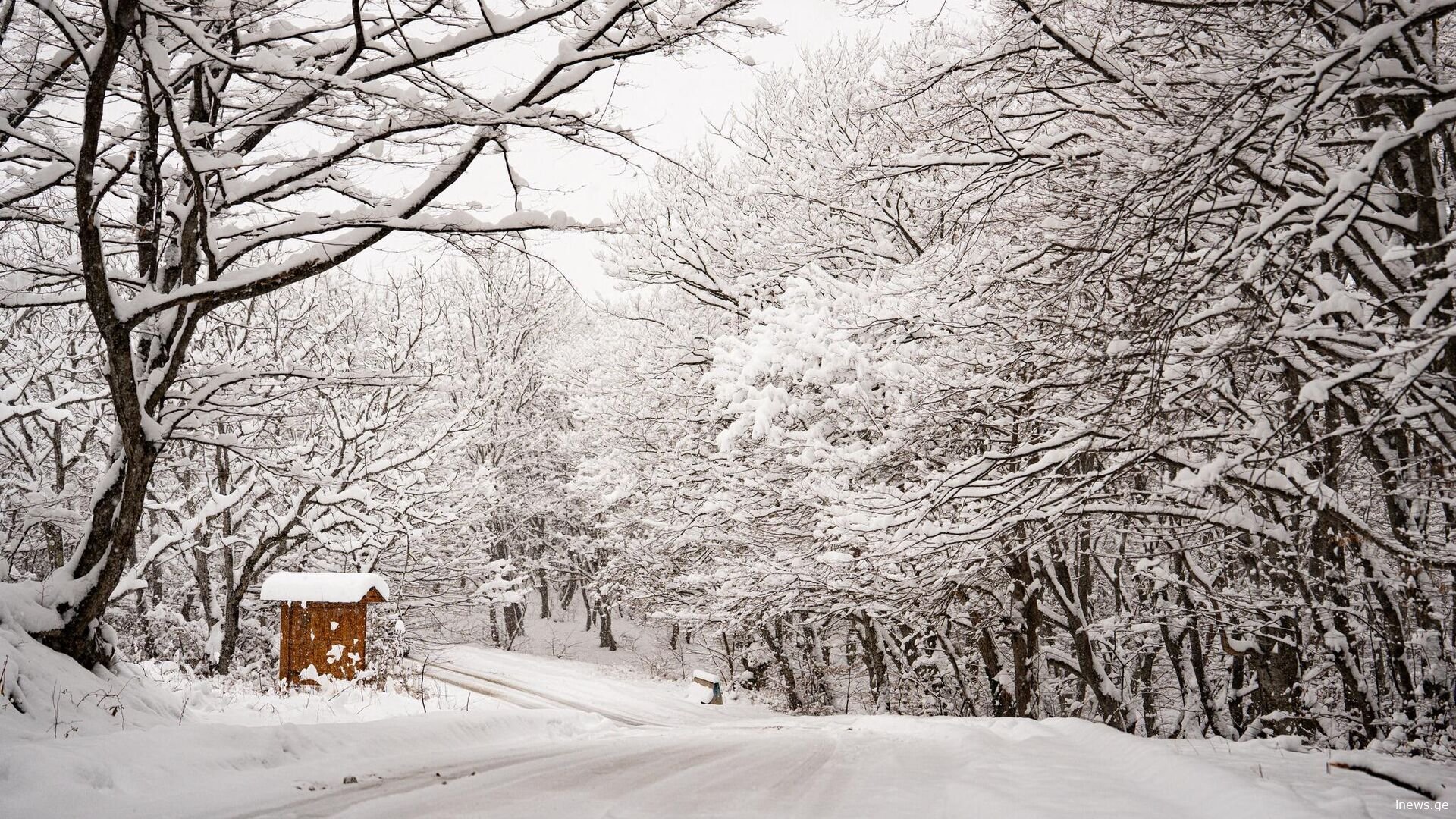 როგორი ამინდია მოსალოდნელი 16 იანვარს