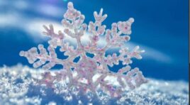 14 იანვრის ამინდის პროგნოზი