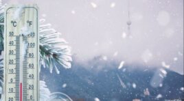 18 იანვარის ამინდის პროგნოზი