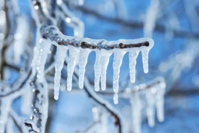 22 იანვრის ამინდის პროგნოზი